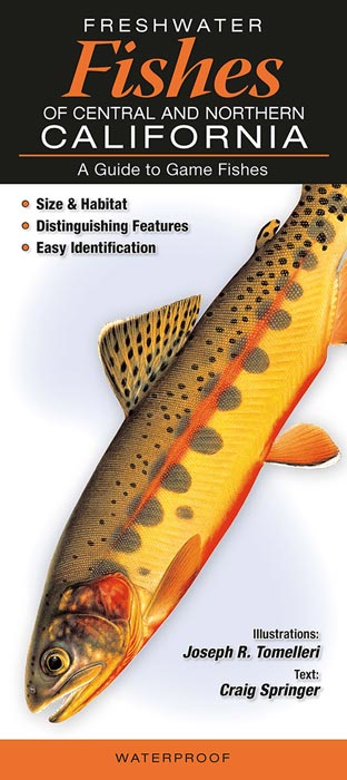 Freshwater Fishes of Central and Northern California by Text by Craig Springer, Illustrations by Joseph R. Tomelieri