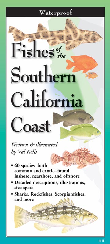 Fishes of the Southern California Coast by Written & Illustrated by Val Kells