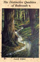 distinctive qualities of redwoods