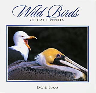 Wild Birds of California by David Lukas