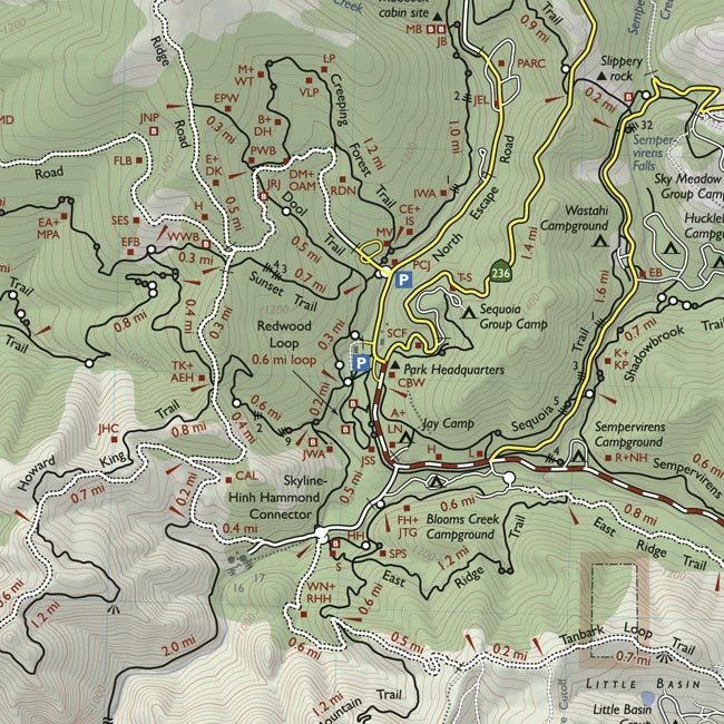 Bay Area Trail Map: Big Basin and Castle Rock, 3rd Edition | Redwood Hikes Press inside image