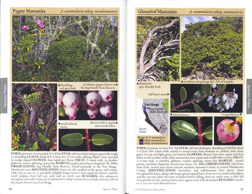 Field Guide to Manzanitas: California, North America, and Mexico by Michael Kauffmann, Tom Parker and Michael Vasey; Photographs by Jeff Bisbee inside image