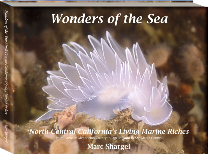 Wonders of the Sea (Volume One) North Central California by Marc Shargel