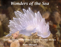 Wonders of the Sea (Volume One) North Central California