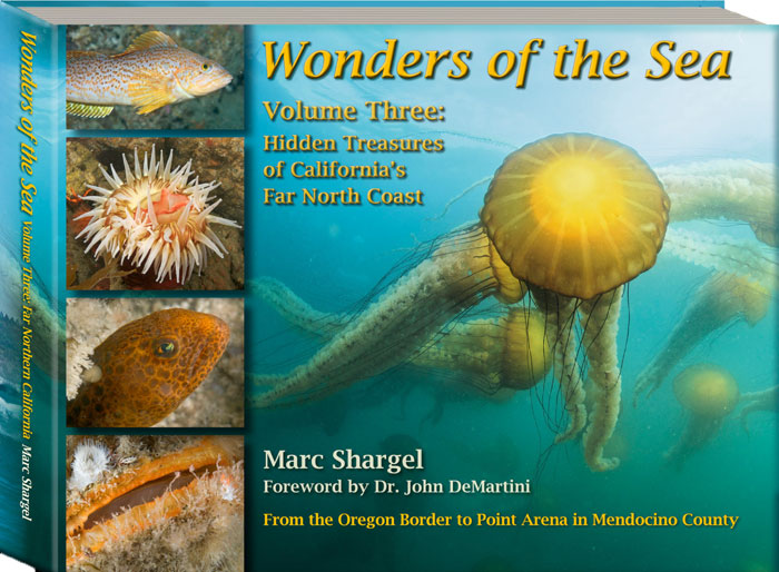 Wonders of the Sea Volume Three: Hidden Treasures of California's Far North Coast by Marc Shargel