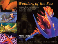 Wonders of the Sea Volume Two: Marine Jewels of Southern California's Coast and Islands