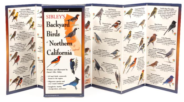 Sibley’s Backyard Birds of Northern California by Written & Illustrated by David Allen Sibley inside image