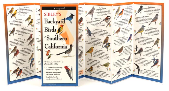 Sibley's Backyard Birds of Southern California by Written & Illustrated by David Allen Sibley inside image