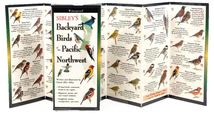 Sibley’s Backyard Birds of the Pacific Northwest by Written & Illustrated by David Allen Sibley inside image