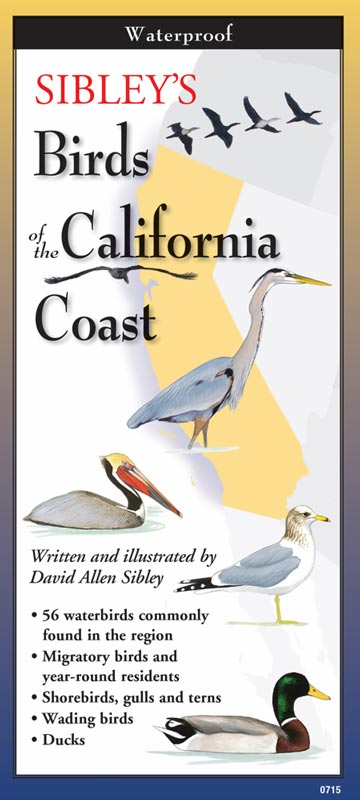Sibley’s Birds of the California Coast by Written & Illustrated by David Allen Sibley