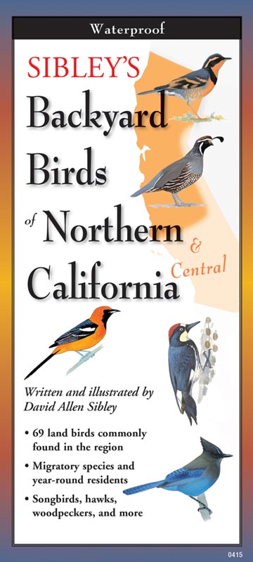 Sibley’s Backyard Birds of Northern California by Written & Illustrated by David Allen Sibley