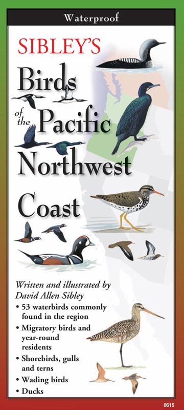Sibley’s Birds of the Pacific Northwest Coast by Written & Illustrated by David Allen Sibley