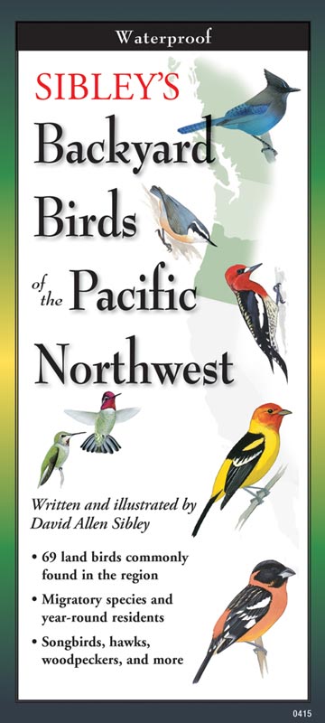 Sibley’s Backyard Birds of the Pacific Northwest by Written & Illustrated by David Allen Sibley