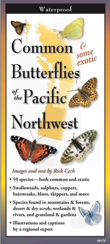 Common Butterflies of the Pacific Northwest by Text & Images by Rick Cech