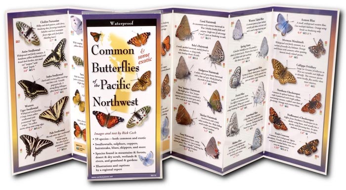 Common Butterflies of the Pacific Northwest by Text & Images by Rick Cech inside image