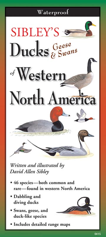 Sibley’s Ducks, Geese, & Swans of Western North America by Written & Illustrated by David Allen Sibley