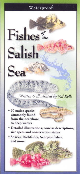 Fishes of the Salish Sea by Written & Illustrated by Val Kells