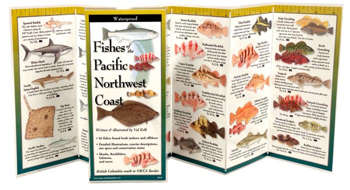Fishes of the Pacific Northwest Coast by Written & Illustrated by Val Kells inside image
