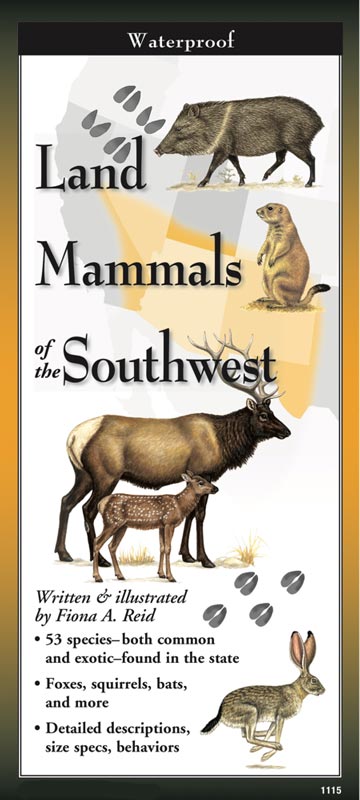 Land Mammals of the Southwest by Written & Illustrated by Fiona A. Reid