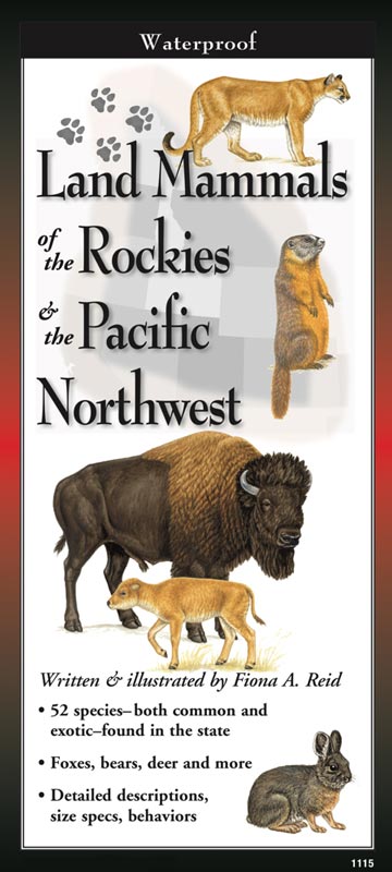 Land Mammals of the Rockies & the Pacific Northwest by Written & Illustrated by Fiona A. Reid