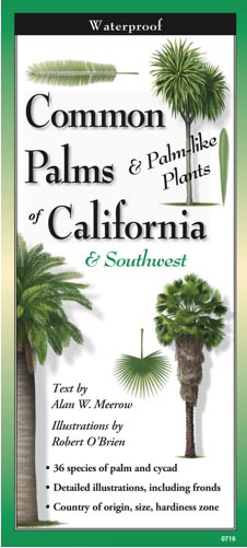 Common Palms and Palm-like Plants of California & the Southwest by Written by Alan W. Marrow; illustrated by Robert O'Brien
