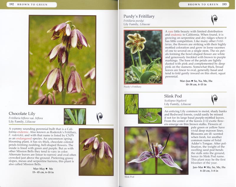 Wildflowers of the Trinity Alps Including Marble Mountain Wilderness, Russian Wilderness, & Trinity Divide by Ken DeCamp, Julie Kierstead Nelson, & Julie Knorr inside image