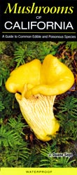 Mushrooms of California: A Guide to Common Edible & Poisonous Species