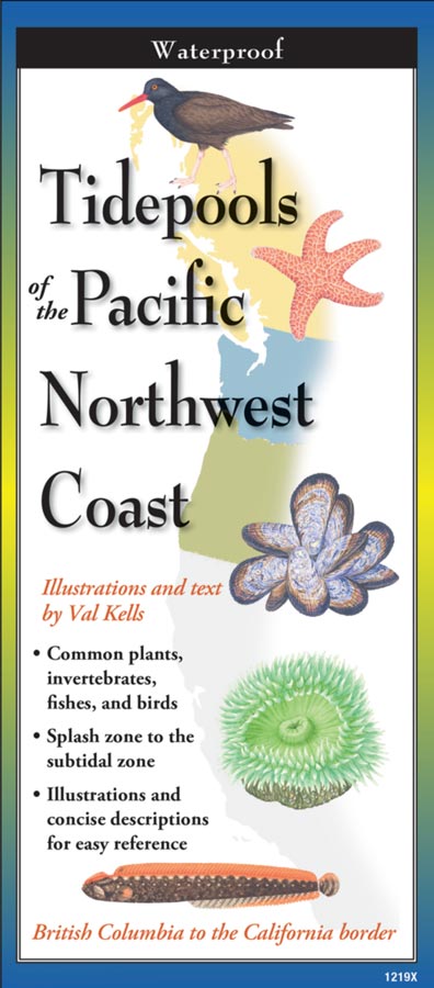 Tidepools of the  Pacific Northwest Coast by Text & Illustrations by Val Kells