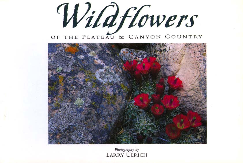 Wildflowers of the Plateau and Canyon Country—Postcard Book by Photography Larry Ulrich