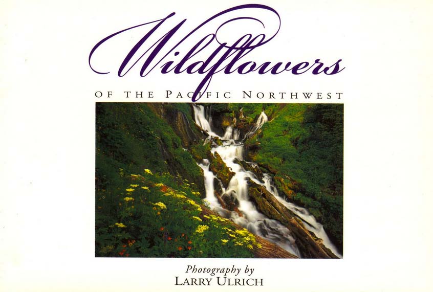 Wildflowers of the Pacific Northwest—Twenty Postcards by Larry Ulrich